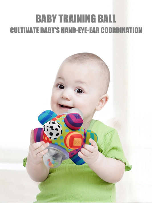 Baby Intelligence Development Rattle Ball